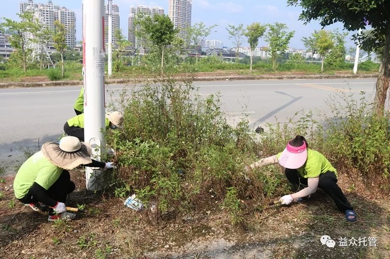 ladbrokes����(�й�)���޹�˾