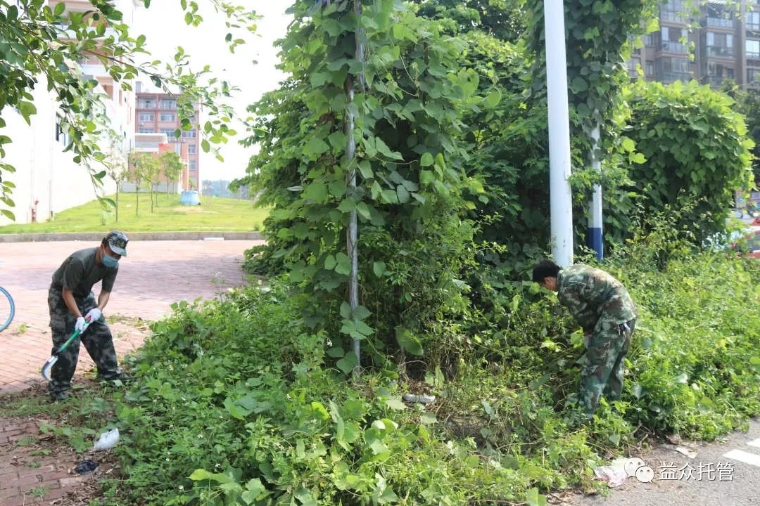 ladbrokes立博(中国)有限公司