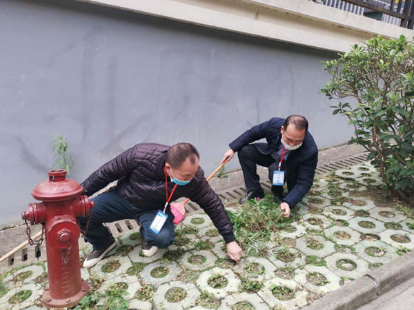 ladbrokes����(�й�)���޹�˾