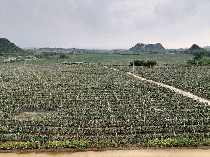 ladbrokes����(�й�)���޹�˾