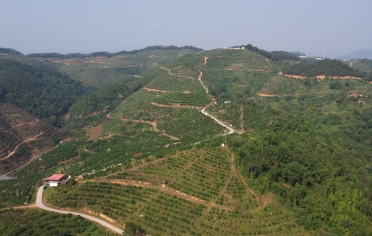 ladbrokes����(�й�)���޹�˾